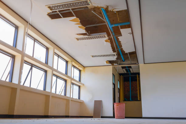 Water damage restoration mold remediation in Reading, OH