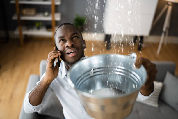 Best Water damage contractors near me  in Reading, OH