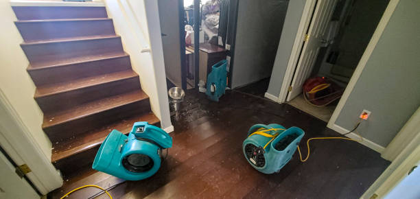 Best Water damage contractors near me  in Reading, OH
