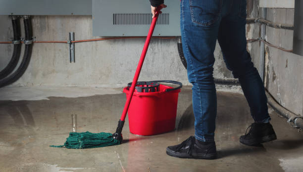 Best Sewage cleanup and water damage restoration  in Reading, OH
