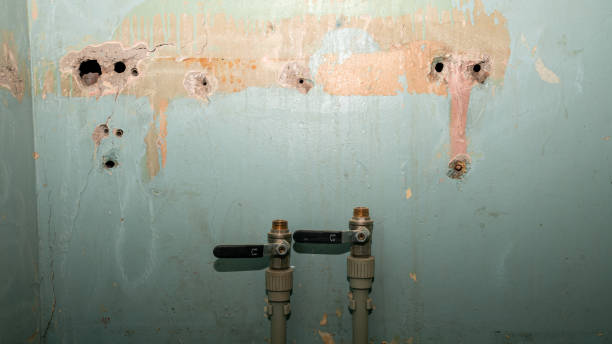 Best Commercial water damage restoration  in Reading, OH