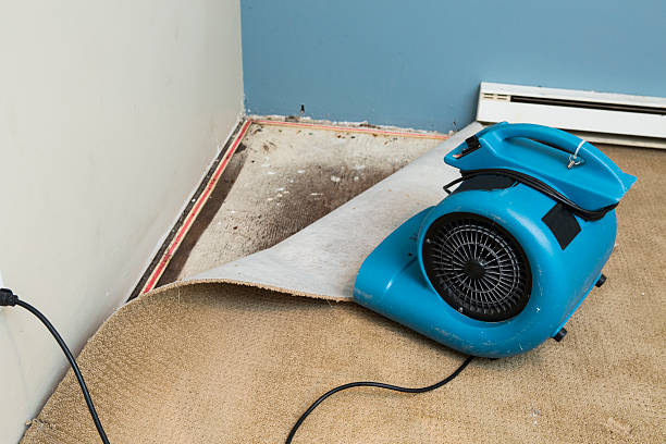 Best Water damage restoration insurance claims  in Reading, OH